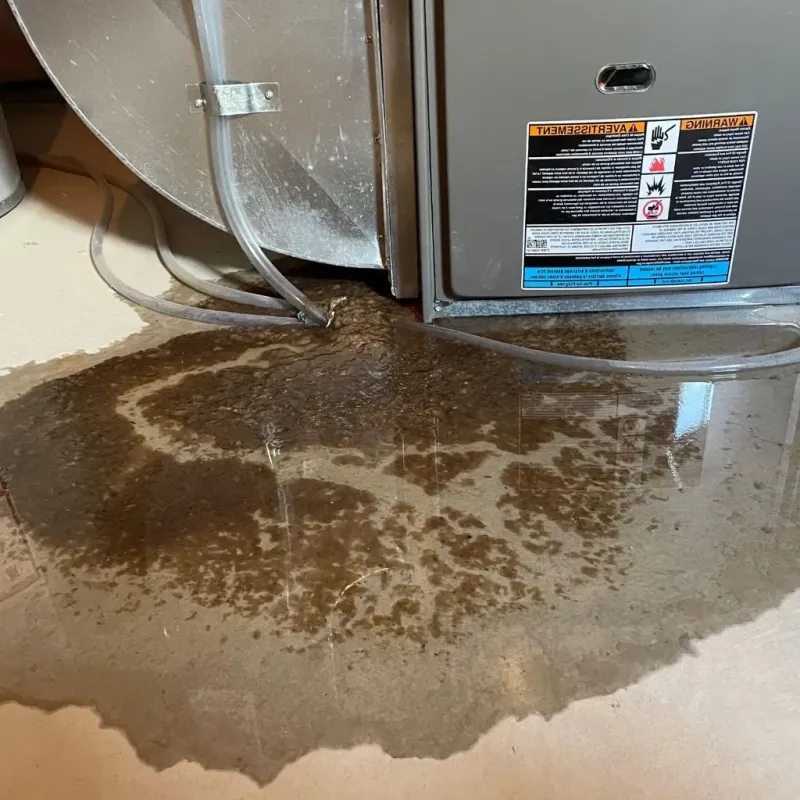 Pipe Burst and Leak Restoration in Neenah, WI